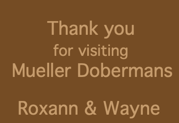  Thank you for visiting Mueller Dobermans Roxann & Wayne 